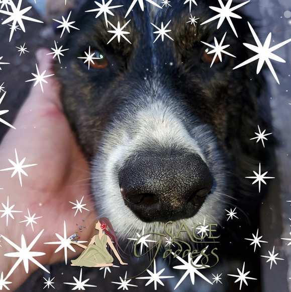 Meet your Posher, Kelly - Picture 1 of 1